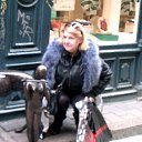 ���� Ilga, ���� - ��������� 13 ����� 2026 � ������ ���� ����������