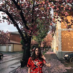 , 29,  