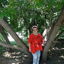 ���� ������, ���������� - ��������� 10 ���� 2025 � ������ ���� ����������