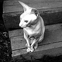 ���� ��������, �����������, 56 ��� - ��������� 16 ������ 2025 � ������ ������ ��������