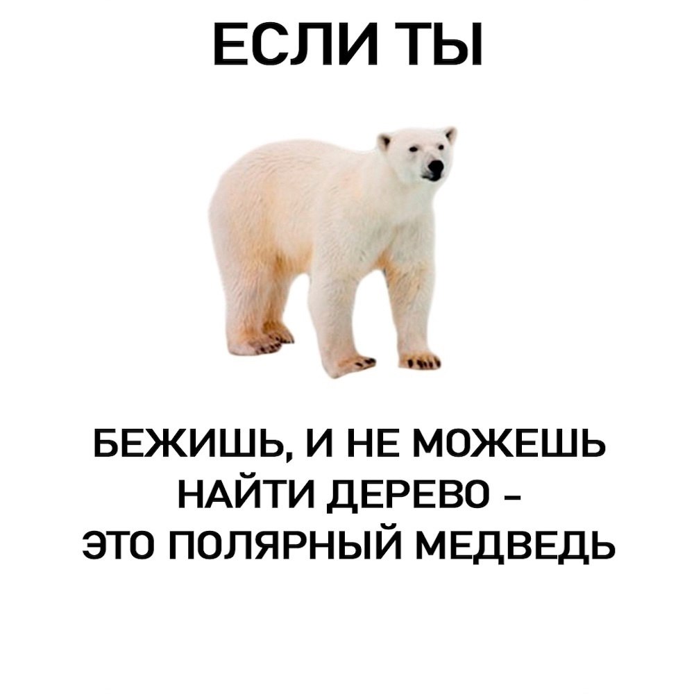 ,    - 3