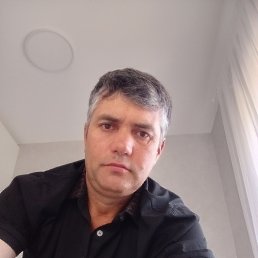 , 44, 