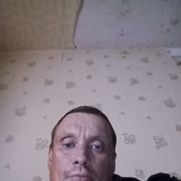 , 40 , 