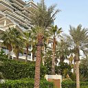 ���� Lora, �����, 58 ��� - ��������� 24 ������ 2025 � ������ ���� ����������