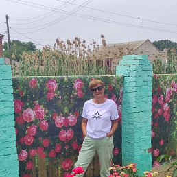 , 58, 