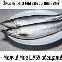 ���� ������, ������, 62 ���� - ��������� 5 ������ 2026 � ������ ������ ��������