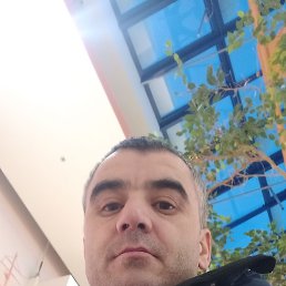 , 36, 