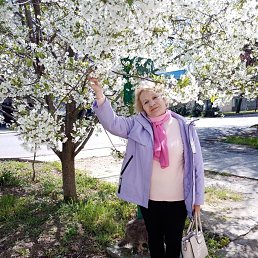 , 68, 