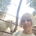 ���� ������, �������, 35 ��� - ��������� 19 ���� 2026 � ������ ���� ����������