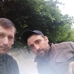 , 34, 