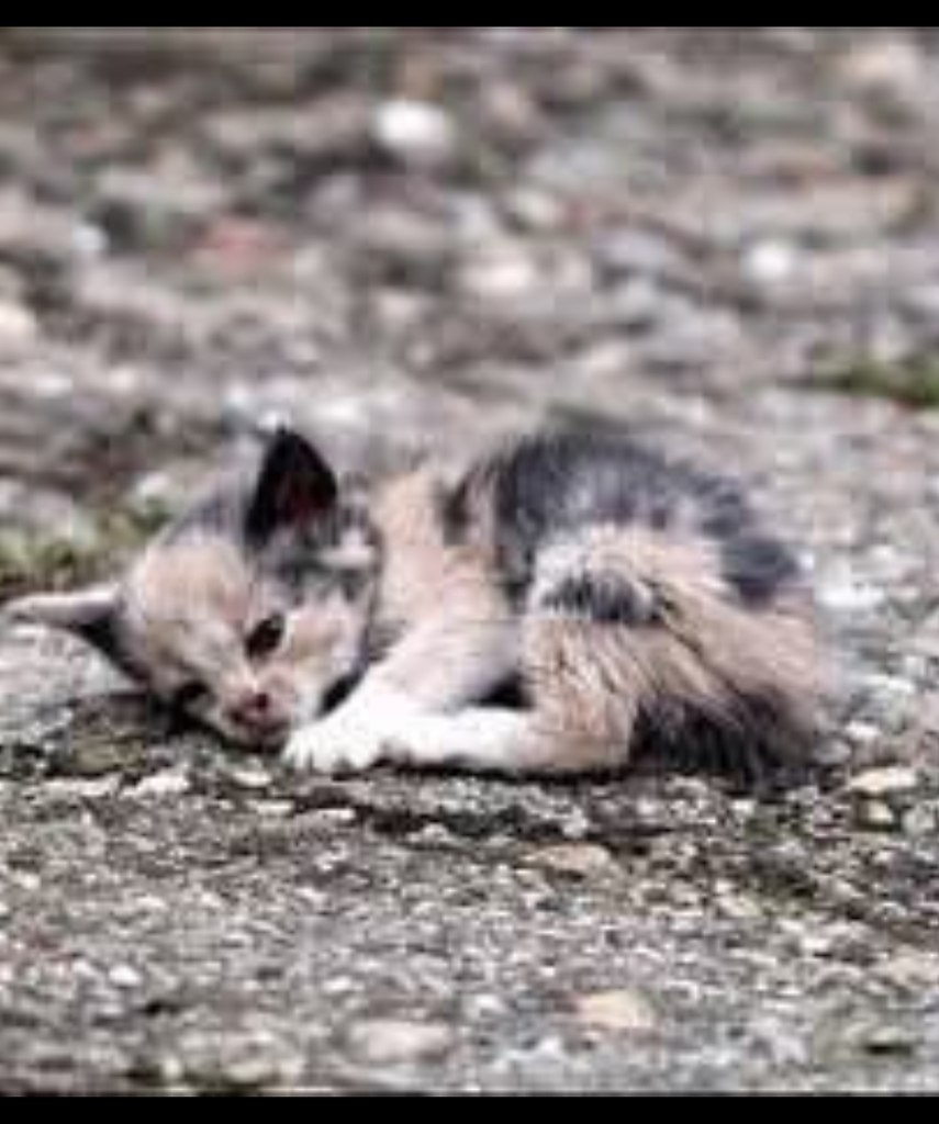   . , ...  ,           ... - 2