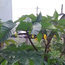 ���� �������, �������, 59 ��� - ��������� 7 ��� 2025 � ������ ���� ����������