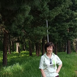 , 65, 