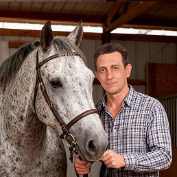 ���� ����, ������, 45 ��� - ��������� 26 ������ 2026