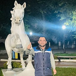, 53 , 