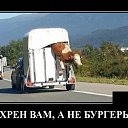 ���� ���������, �������, 52 ���� - ��������� 10 ����� 2026 � ������ ������ ��������