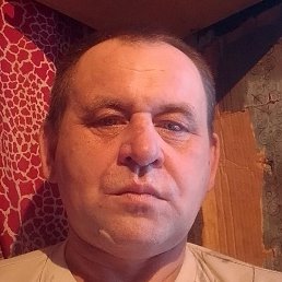 ����, �����-���������, 45 ���