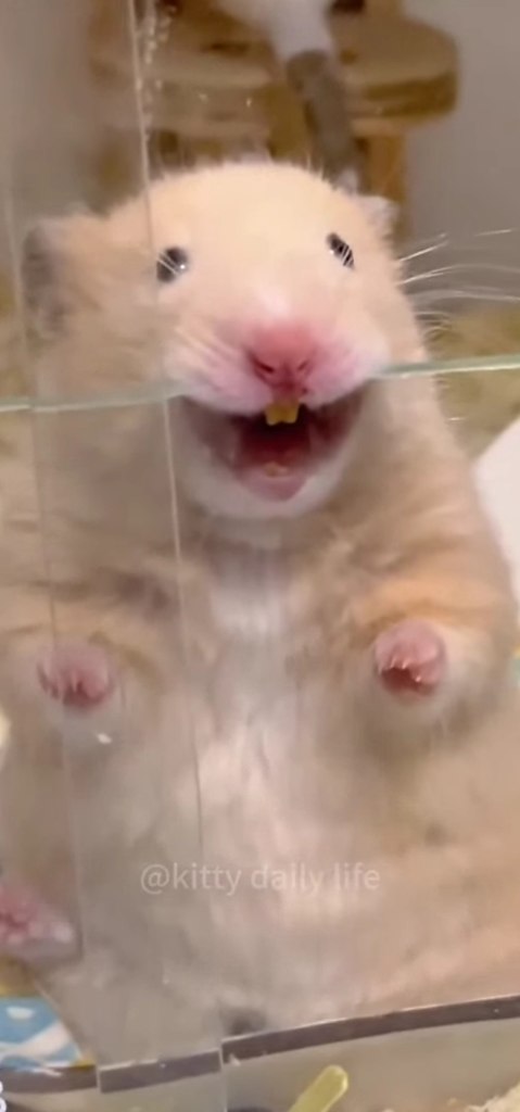     - 2