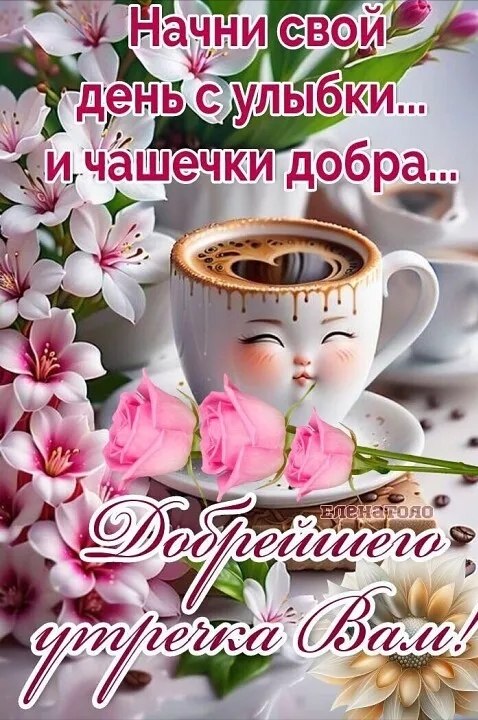 ������ - 26 ������ 2024 � 11:11