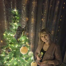 ���� �����, ������, 49 ��� - ��������� 22 ����� 2026