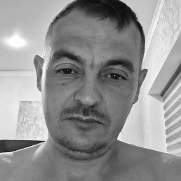 �������, ����, 37 ���