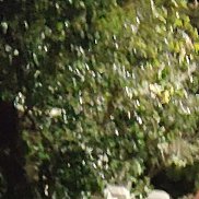 , 62 , 