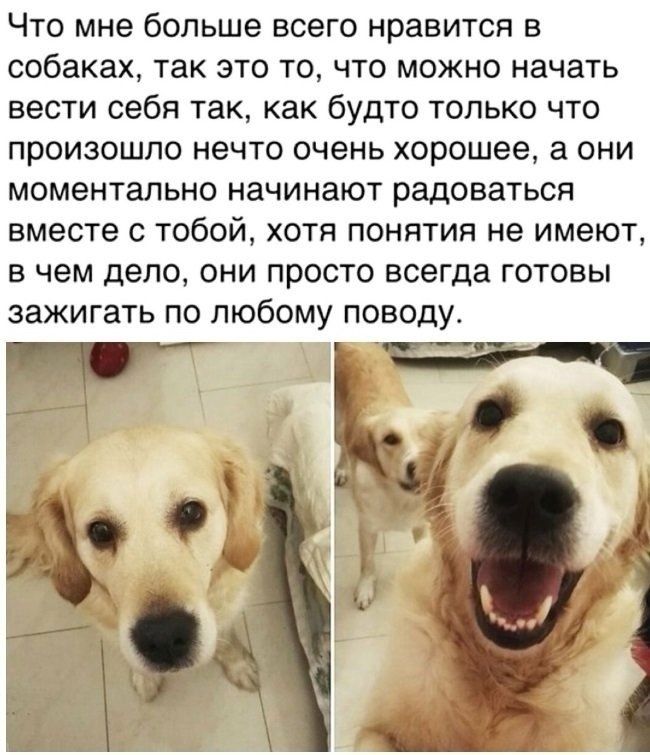 ��� �����!