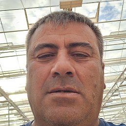 �������, �������, 51 ���