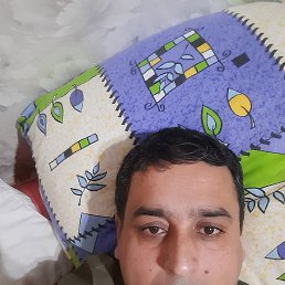 , 37, 