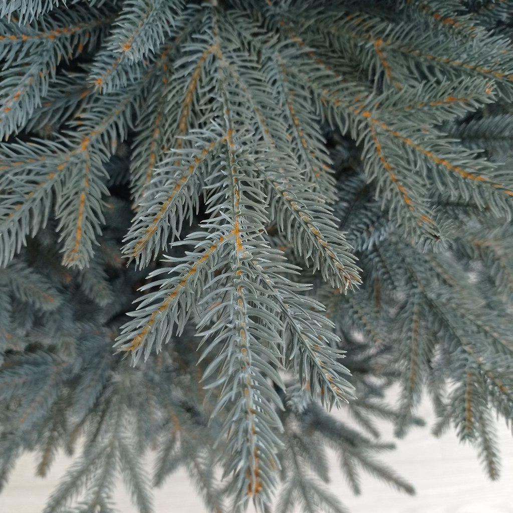 ������ ��� ���� � ���������, ��� ��� �������... ������� ��, ��� �� ����� ������������� �����. ��� ... - 3