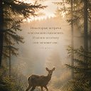 ���� �������, ��������� - ��������� 16 ������� 2026 � ������ ������ ��������
