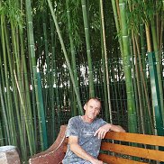 �������, 53 ����, ������