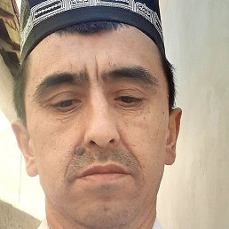 �����, �������, 54 ����