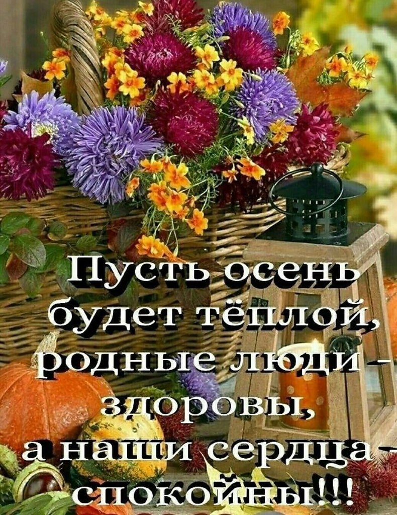   ,    . - 10  2025  16:02 - 2