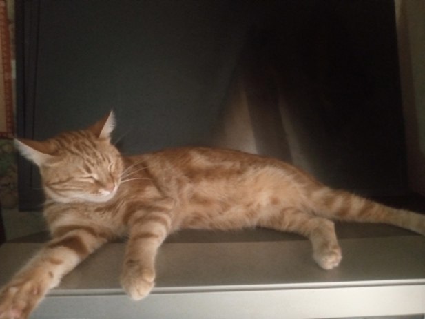   .       ? , !    ...