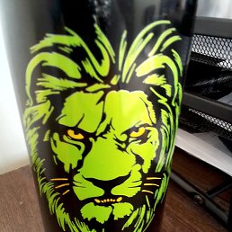 ���, ������, 48 ���