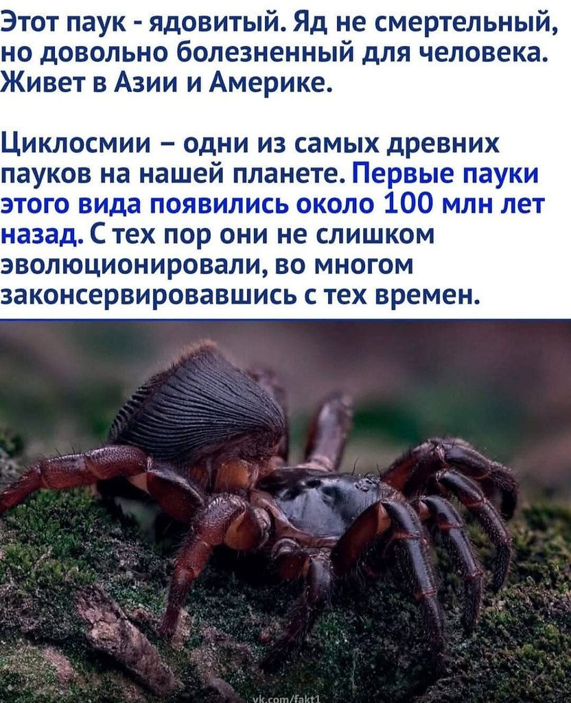 :)  - ... - 3