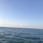 �����, 43 ����, ��������