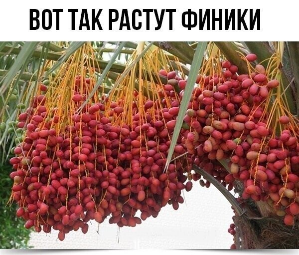 ~~~~~~~~~~~~~