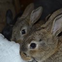 ���� �������, ������� ��������, 40 ��� - ��������� 3 ������� 2026 � ������ ����, ����, �������, �������� � ��� � ����