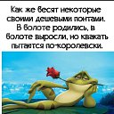 ���� �������, ���������, 61 ��� - ��������� 29 ���� 2025 � ������ ���� ����������