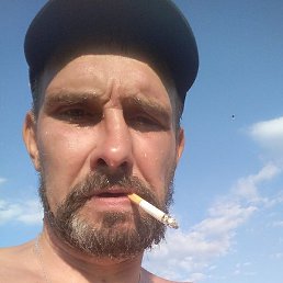 �����, ������, 49 ���