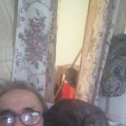 , 54 , 