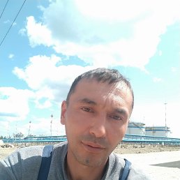 �����, 41 ���, ���