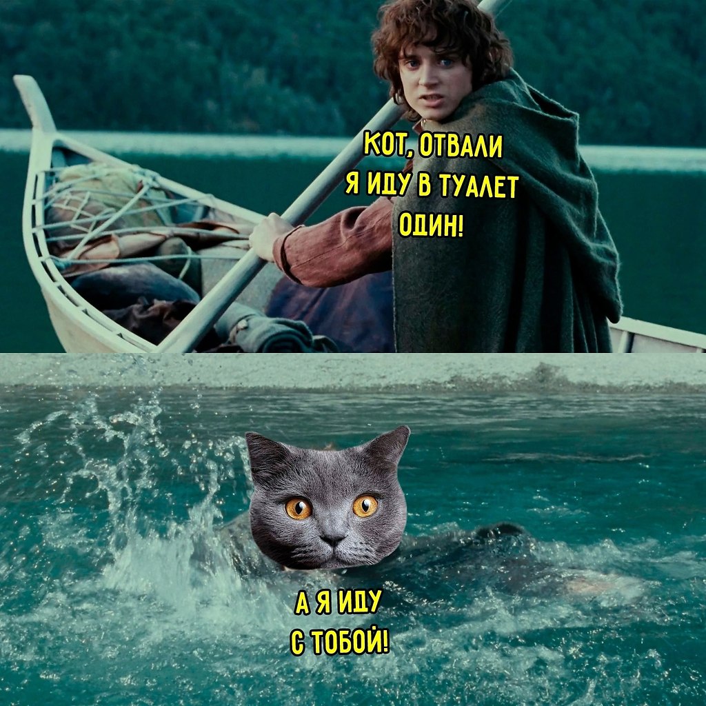  - 27  2025  19:02