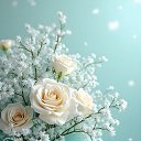 ���� ���� ��������, ������, 72 ���� - ��������� 2 ������ 2026 � ������ ������ ��������