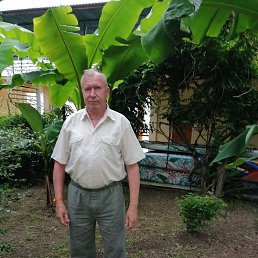 , 66, 