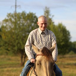 ��������, 46 ���, ������� ��������