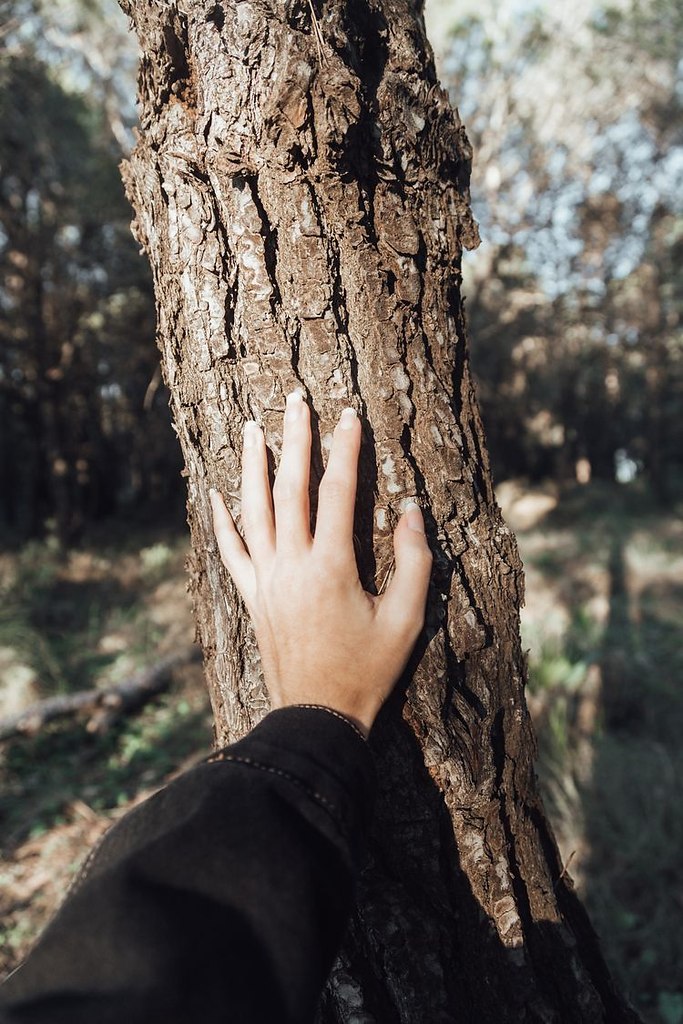 ���������� �������� ��������.������������ ������������� ���� � ���� �����. ��������� �������, ...