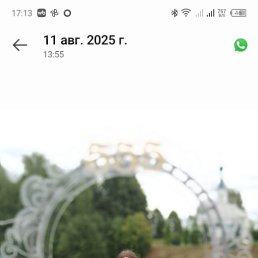 , 57, 